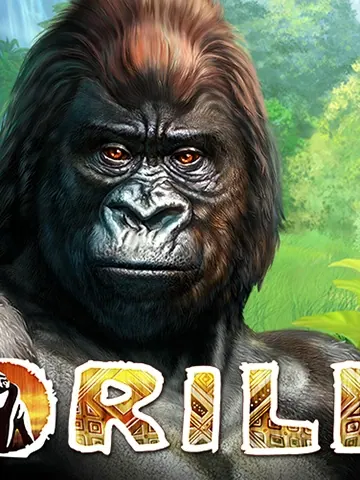 Gorilla